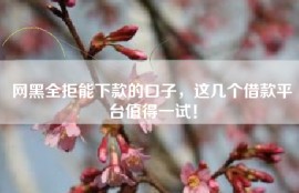 网黑全拒能下款的口子，这几个借款平台值得一试！