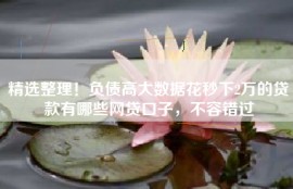 精选整理！负债高大数据花秒下2万的贷款有哪些网贷口子，不容错过