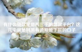 有什么贷款是借两三千的借款平台？这几个就是网黑有逾期能下款的口子