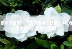 最年轻富豪，“贪玩蓝月”幕后的80后老板被批捕，是什么原因？