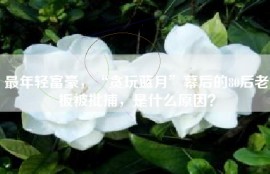 最年轻富豪，“贪玩蓝月”幕后的80后老板被批捕，是什么原因？