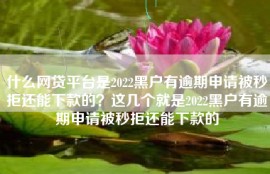 什么网贷平台是2022黑户有逾期申请被秒拒还能下款的？这几个就是2022黑户有逾期申请被秒拒还能下款的