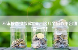 不审核直接放款5000，这几个借款平台值得一试！