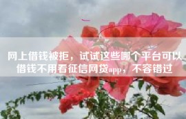 网上借钱被拒，试试这些哪个平台可以借钱不用看征信网贷app，不容错过