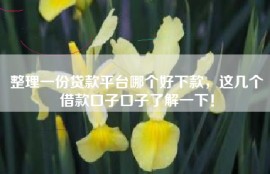 整理一份贷款平台哪个好下款，这几个借款口子口子了解一下！