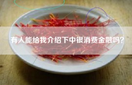 有人能给我介绍下中银消费金融吗？