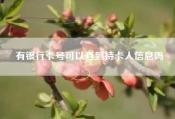 有银行卡号可以查到持卡人信息吗