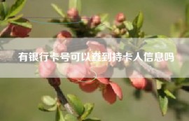 有银行卡号可以查到持卡人信息吗
