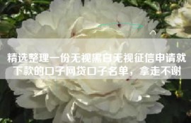 精选整理一份无视黑白无视征信申请就下款的口子网贷口子名单，拿走不谢