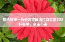 精选整理一份无需审核通过贷款借款软件名单，拿走不谢