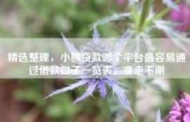 精选整理，小额贷款哪个平台最容易通过借款口子一览表，拿走不谢
