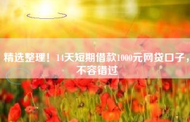 精选整理！14天短期借款1000元网贷口子，不容错过