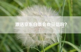激活京东白条会查征信吗？