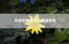 外资积极优化产业链布局