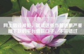 网上借钱被拒，试试这些当前逾期严重能下款的平台借款口子，不容错过