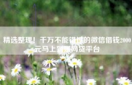 精选整理！千万不能错过的微信借钱2000元马上到账网贷平台