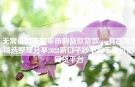 无需征信无需审核的贷款贷款app有哪些？精选整理分享2022新口子秒下款不查征信网贷平台