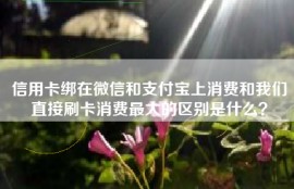 信用卡绑在微信和支付宝上消费和我们直接刷卡消费最大的区别是什么？