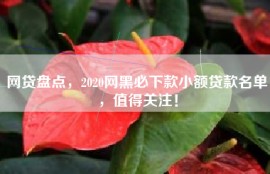 网贷盘点，2020网黑必下款小额贷款名单，值得关注！