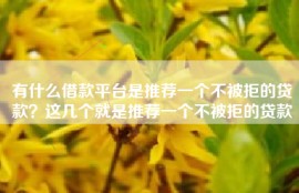 有什么借款平台是推荐一个不被拒的贷款？这几个就是推荐一个不被拒的贷款