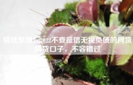 精选整理！2022不查征信无视负债的网贷网贷口子，不容错过