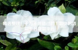 精选整理！千万不能错过的下款快的借款平台贷款平台