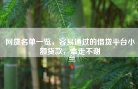 网贷名单一览，容易通过的借贷平台小额贷款，拿走不谢