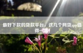 最好下款的贷款平台，这几个网贷app值得一试！