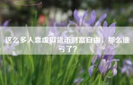 这么多人靠虚拟货币财富自由，那么谁亏了？