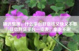 精选整理，什么平台好借钱又快又不看征信网贷平台一览表，拿走不谢