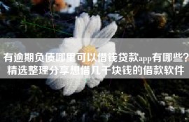 有逾期负债哪里可以借钱贷款app有哪些？精选整理分享想借几千块钱的借款软件