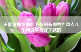 不管逾期负债能下款的有哪些？盘点几个网贷平台好下款的