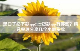 黑口子必下款app2022贷款app有哪些？精选整理分享几个小额贷款