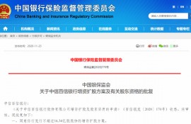 百信银行增资获批外资新股东入局 上半年净利润0.07亿元同比下降87%