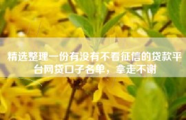 精选整理一份有没有不看征信的贷款平台网贷口子名单，拿走不谢