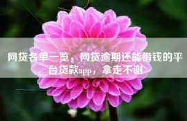 网贷名单一览，网贷逾期还能借钱的平台贷款app，拿走不谢