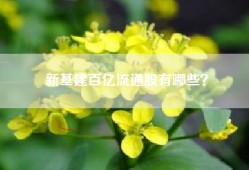新基建百亿流通股有哪些？