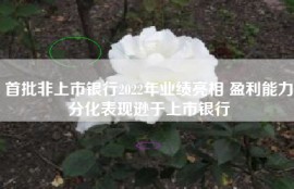 首批非上市银行2022年业绩亮相 盈利能力分化表现逊于上市银行