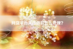 网贷平台关闭借款怎么处理？