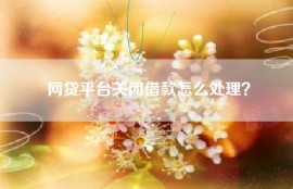 网贷平台关闭借款怎么处理？