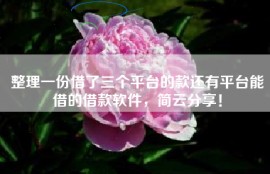 整理一份借了三个平台的款还有平台能借的借款软件，简云分享！