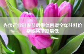 光伏产业链春节后集体回暖全年硅料价格或将前高后低