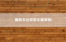 哪些平台贷款无需审核?
