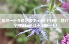 整理一份身份证借钱5000马上到账，这几个网贷口子口子了解一下！