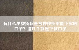 有什么小额贷款是各种秒拒求能下款的口子？这几个就是下款口子