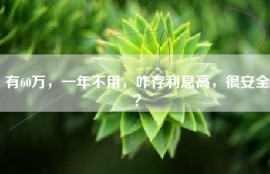 有60万，一年不用，咋存利息高，很安全？