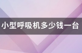 小型呼吸机多少钱一台