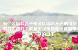 有什么借款口子是可以借500左右的借款软件？这几个就是无视黑白无视征信申请就下款的口子