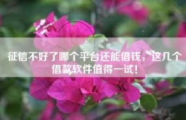 征信不好了哪个平台还能借钱，这几个借款软件值得一试！