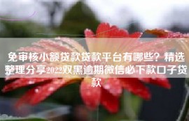 免审核小额贷款贷款平台有哪些？精选整理分享2022双黑逾期微信必下款口子贷款